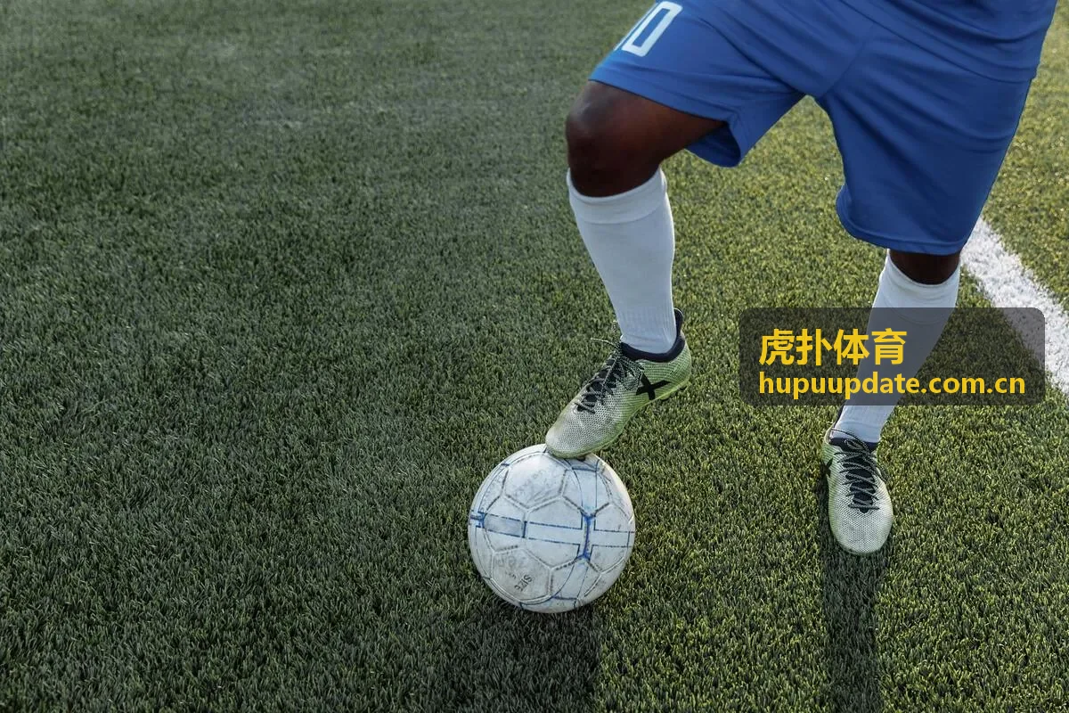 虎扑体育球员数据雷达图